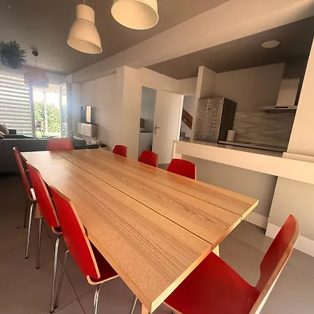 Apartment Brain House Leon